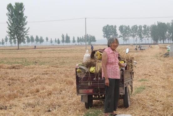 套马的汉子最威武视频,套马的汉子雄壮吗