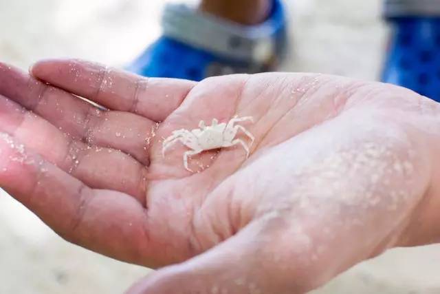 谁说带着娃就不能度蜜月？｜你没见过的马尔代夫游记