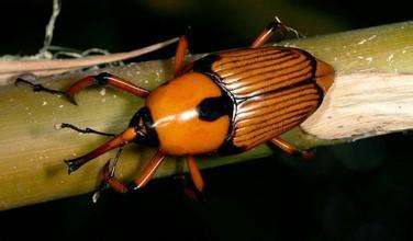 回忆一下2018年的神兽们,记录曾经神兽们的点点滴滴