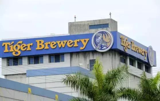 夏一站—深夜的啤酒比清晨的白粥好喝!尤其是虎牌的!