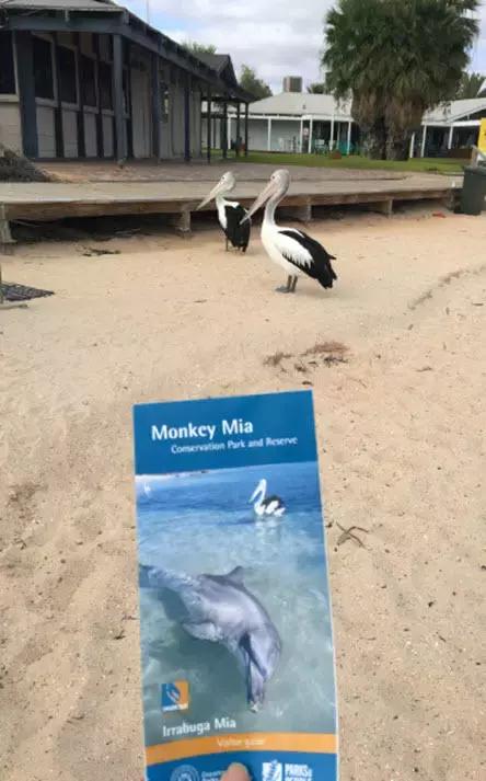 西澳珀斯游记,西澳游记攻略