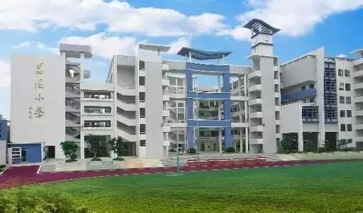 深圳龙岗区私立小学排名一览表,深圳龙岗坂田小学排名一览表