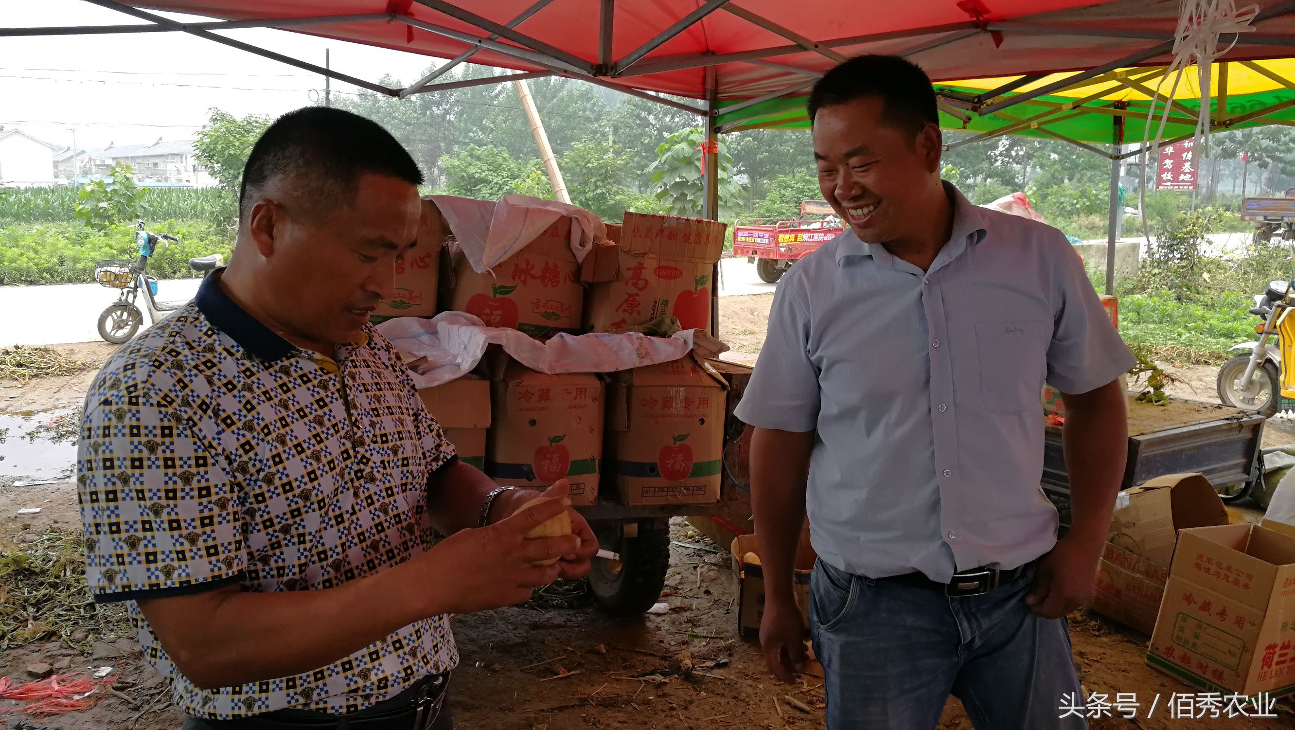 在农村适合做什么小生意,家在农村适合做点什么小生意