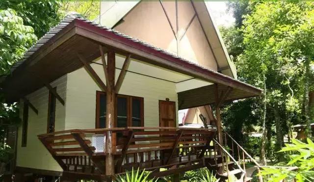 喜大普奔完整版视频,喜大普奔完整视频