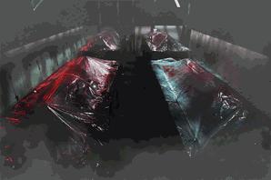 藤木病院介绍,藤木病院是在哪里的