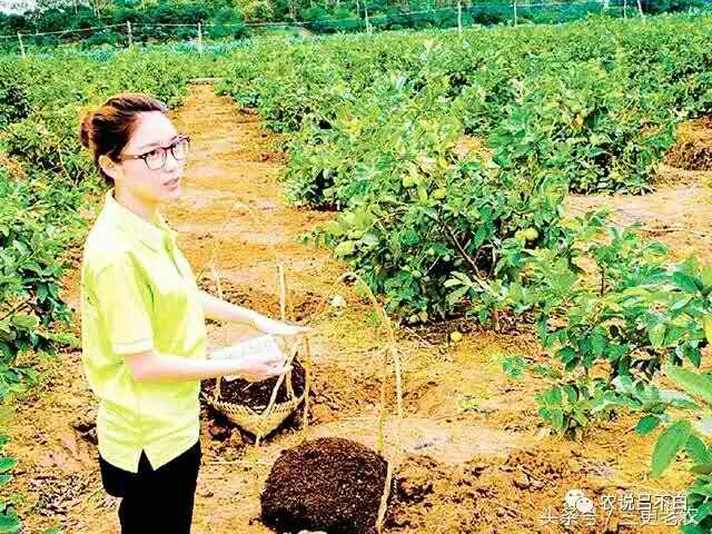 在农村集镇做什么能挣到钱,在乡村做什么小生意能挣钱