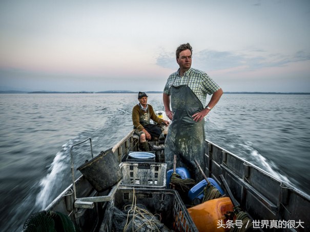 这两个岛有性别，一个是男人岛，一个是女人岛，如今却混了