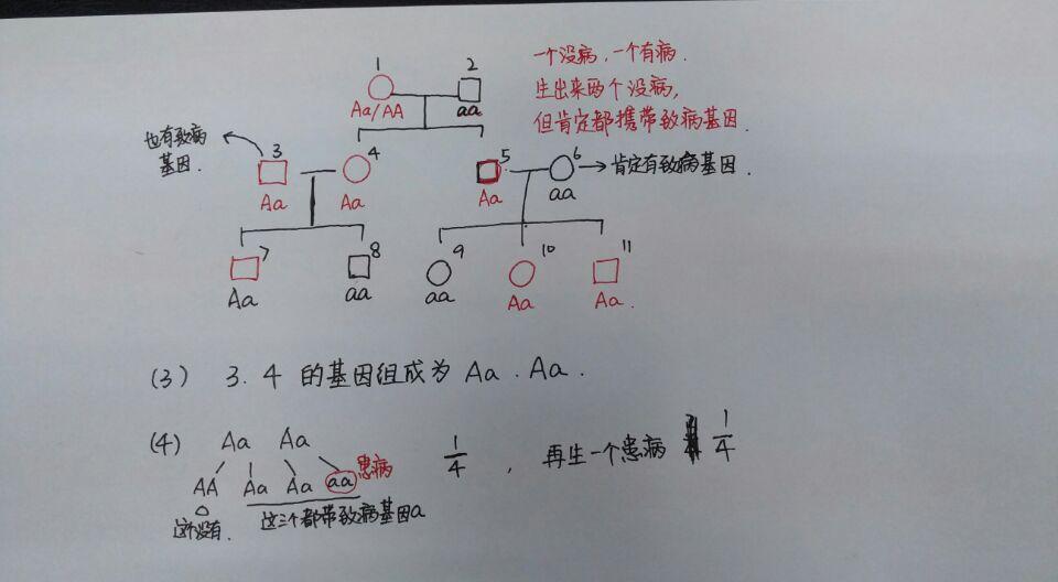 初二地生会考最好的方法,初二会考的注意事项