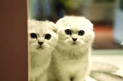 手足口病渐入高发季,儿童手足口病病例死亡