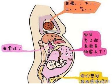 孕晚期突然呼吸困难胸闷气短头晕,胸闷气短头晕最佳有效急救措施