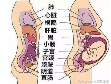 孕晚期突然呼吸困难胸闷气短头晕,胸闷气短头晕最佳有效急救措施