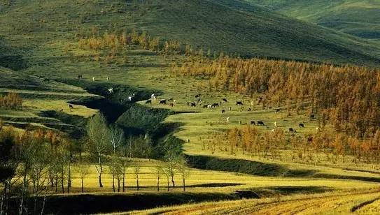 中国66号公路自驾游最佳路线图,中国66号公路起点和终点