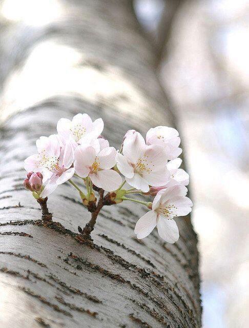 改变就在坚持的每一天,改变就在当下歌曲