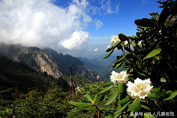 跟秦岭旅游联盟一起度过22°夏天