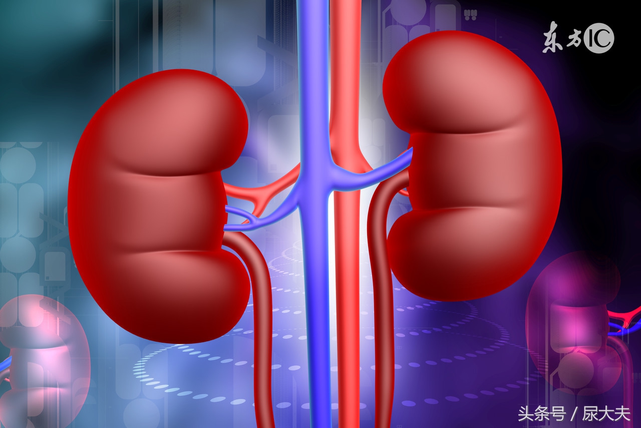 肾积水引起的腰疼快速消除方法,肾积水腰痛出现几次会加重积水