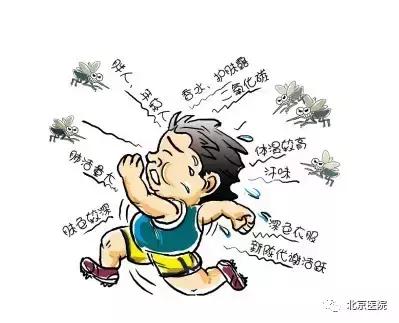京医科普｜对付夏日“吸血鬼”，北京医院出招啦！
