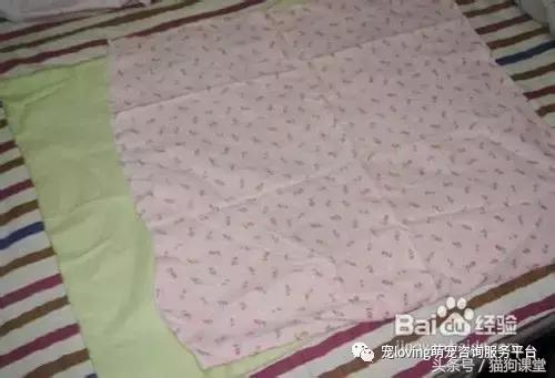 diy狗窝教程,diy狗窝教程室外水泥