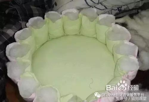 diy狗窝教程,diy狗窝教程室外水泥