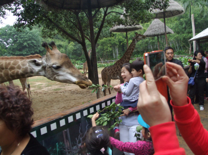 广州香港迪士尼一日游报团,长隆好玩还是迪士尼好玩