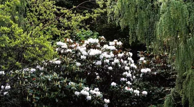 川西康定木格措,四川川西康定风景