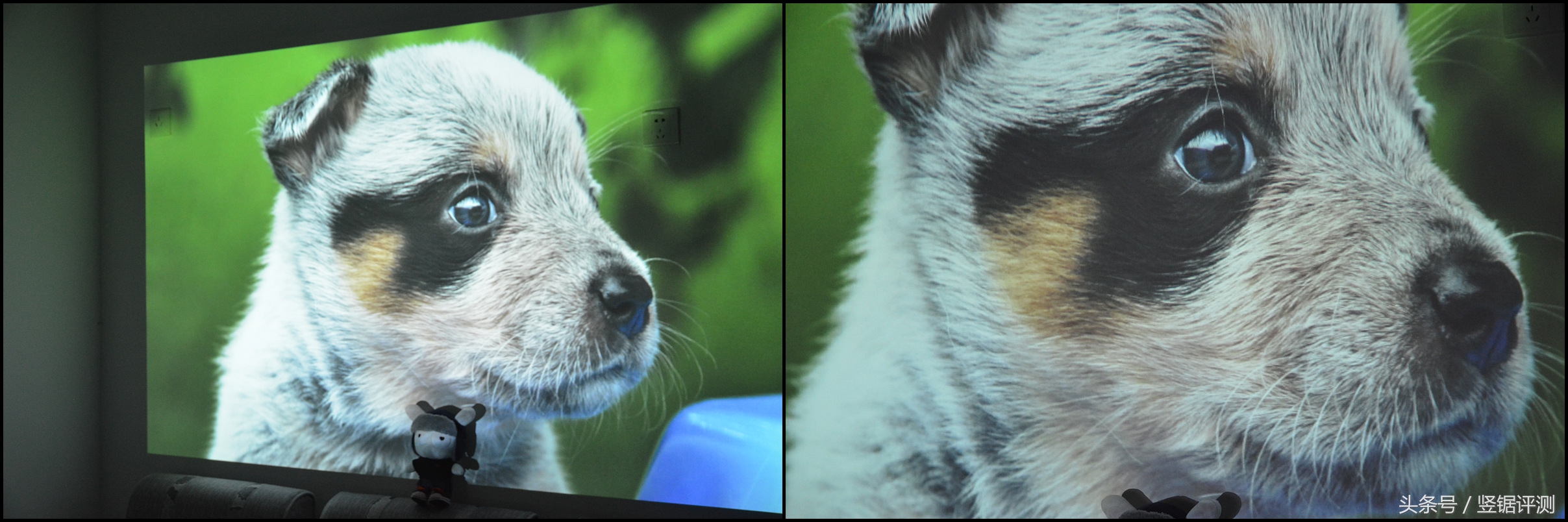 坚果睿途r8固件升级,坚果最大投影