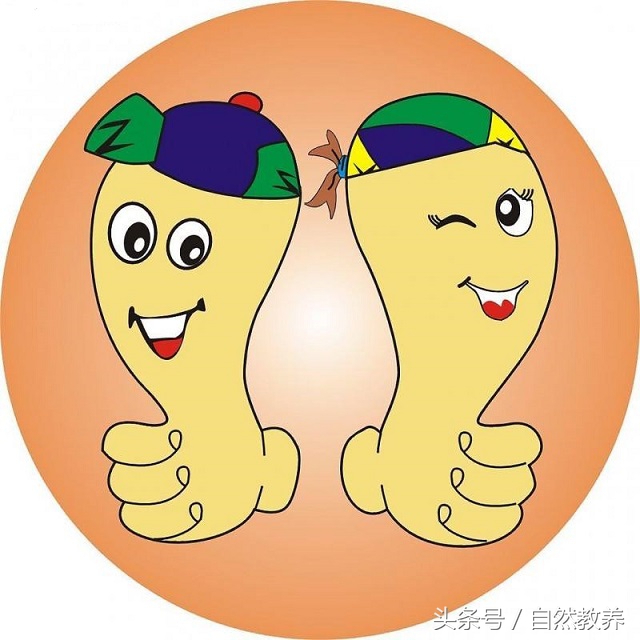 美国小学教育有哪些课程,美国小学的日常教学