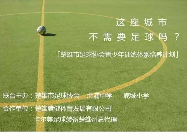楚雄市篮球青训,楚雄足球协会青训