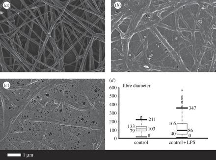 血液里的细菌一般有哪些,血液中的细菌和病毒