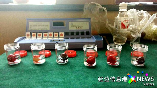 樱桃里面有虫子吃了会怎么样,樱桃里有虫子吃了对身体有害吗