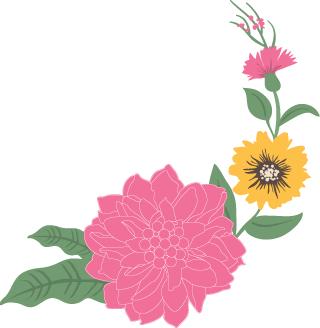 山竹降火最快的方法,健康山竹