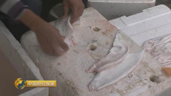 十亩水库养鱼一年收益,一亩鱼塘养鱼的收益