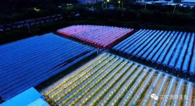 鍐滄潙鐏緳鏋滅伅鍏夌,鐏緳鏋滃熀鍦板闂翠笂婕旂伅鍏夌