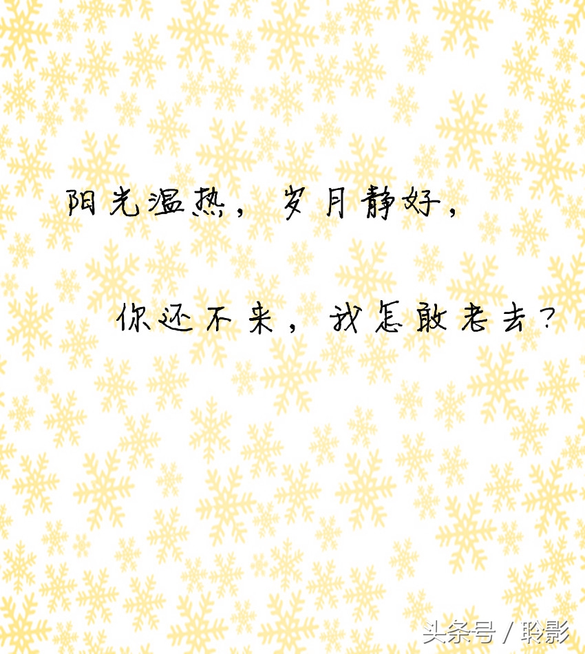 读不懂她的人,你可以去读她的文字,张爱玲语录100二,唯美温柔细腻美文,适合摘抄收藏转发朋友圈