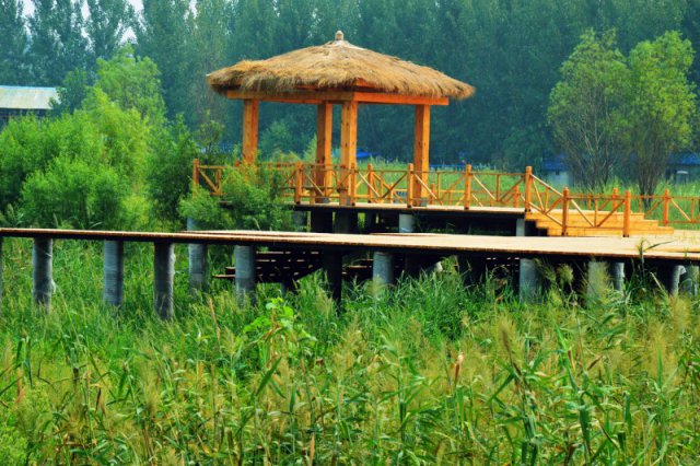 河南哪里适合自驾户外露营,自驾游住帐篷找营地