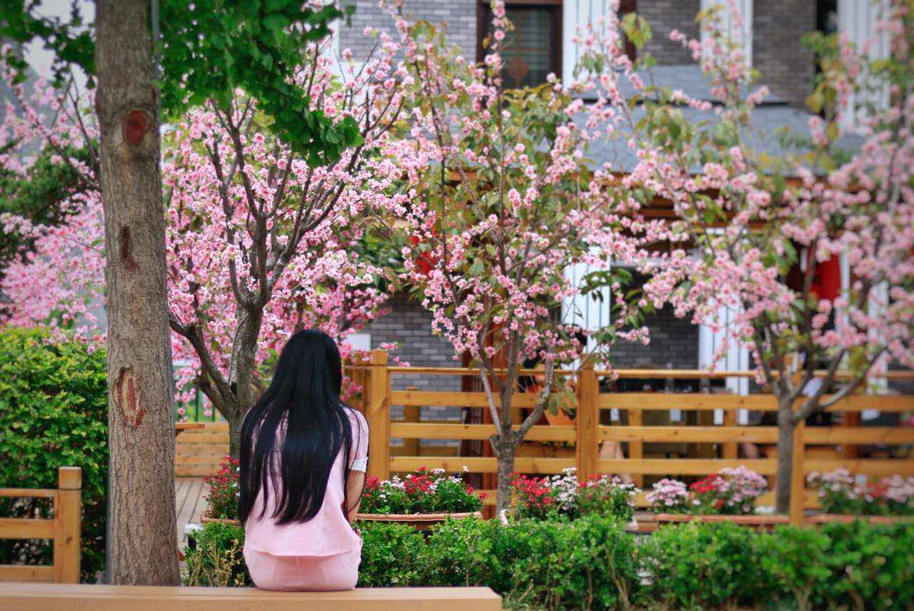 佳能70d配24mm头图片,佳能70d配18-55镜头怎么样