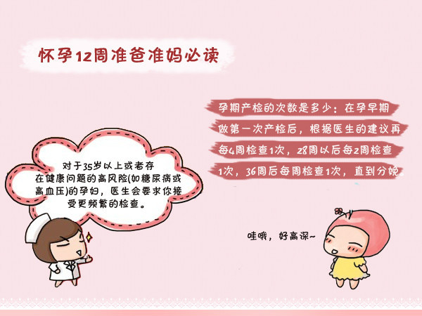 怀孕初期一到三个月要注意什么,怀孕早期三个月要注意什么