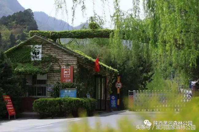 黑河风光,黑河自然风景