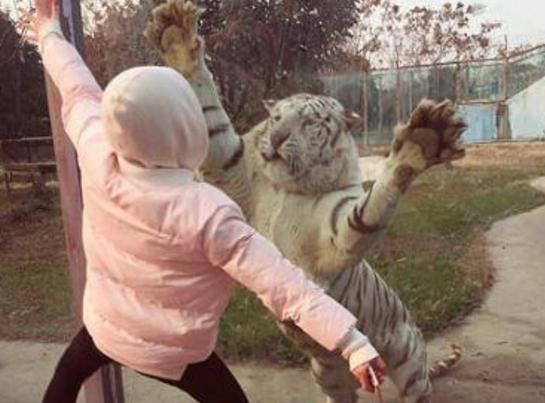 哄女朋友开心幽默笑话大全,哄女朋友开心的幽默笑话