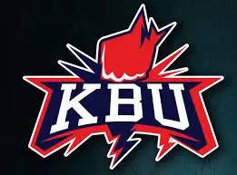 vp电竞阵容,vp电竞是啥