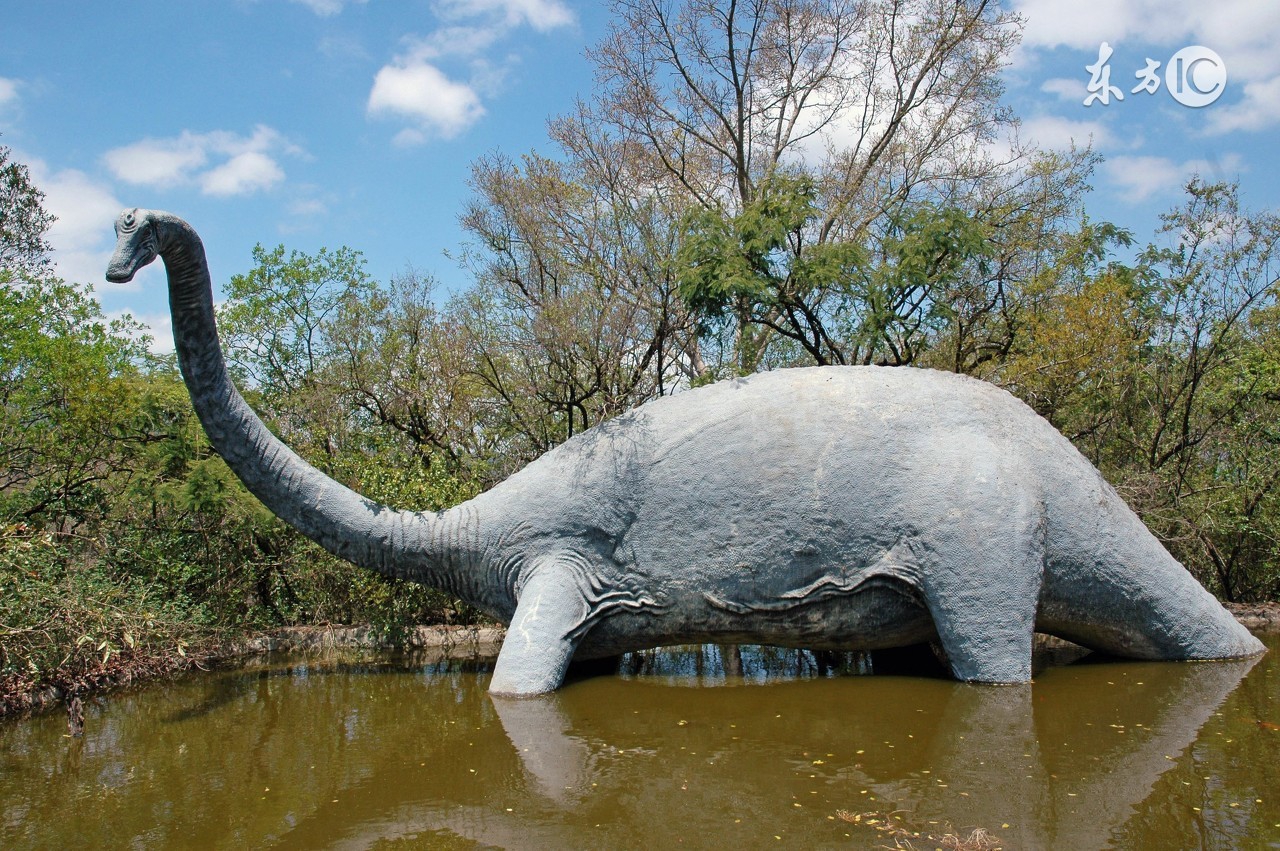 恐龙是如何灭绝的动画,恐龙是如何灭绝的搞笑