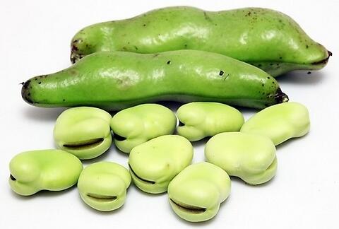 喝豆浆上吐下泻怎么回事,女子下泻