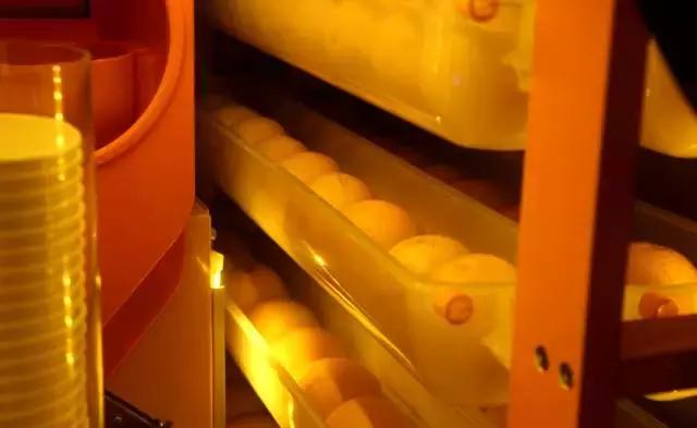 自动售卖机卖菜合适吗,可以卖吃的自动贩卖机