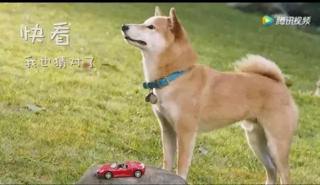 魔性表情,魔性的表情