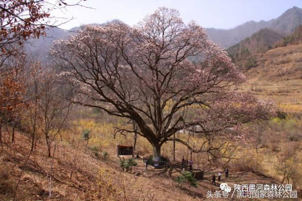 黑河风光,黑河自然风景