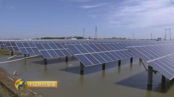 十亩水库养鱼一年收益,一亩鱼塘养鱼的收益