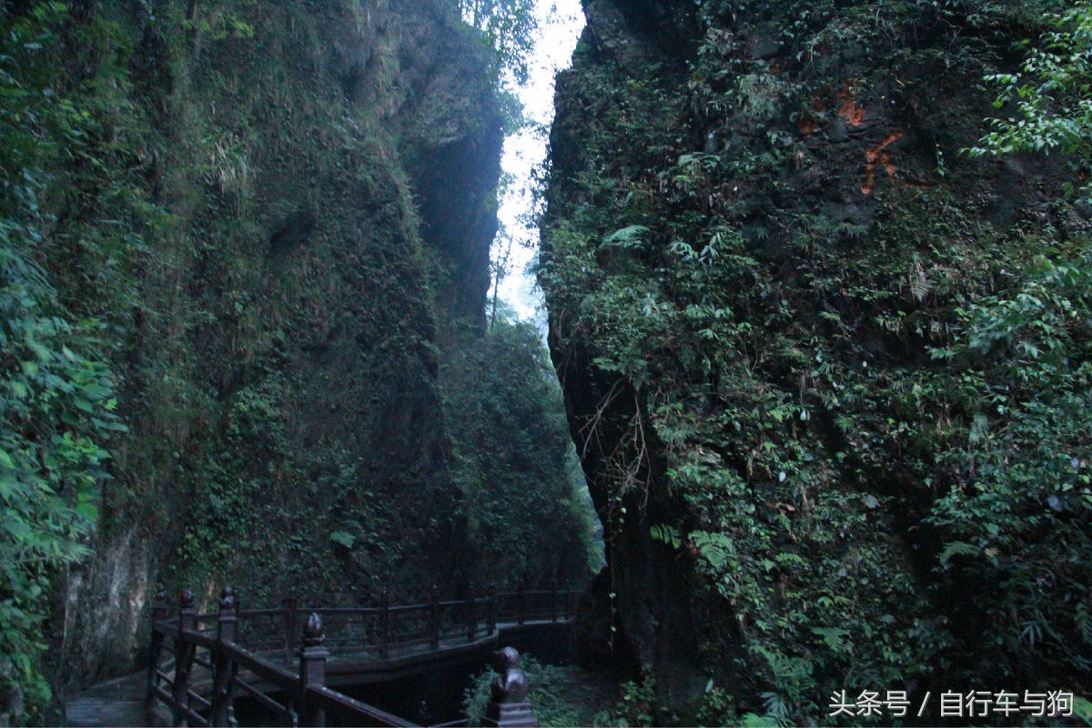 三大家一起游峨眉山,23岁女生独游峨眉山失联