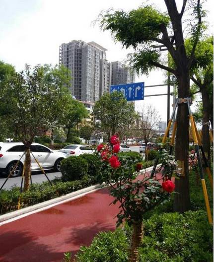 灞桥区重点项目将亮相,西安灞桥24年规划