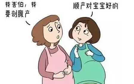 赵薇的小四月照片,赵薇小四月的最新消息