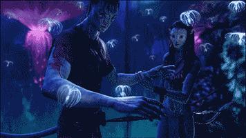 秘鲁豚鼠纪录片,豚鼠秘鲁荷兰猪