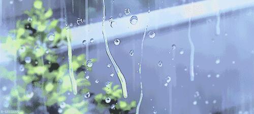 梅雨季防霉的东西,梅雨时节防霉最佳方法